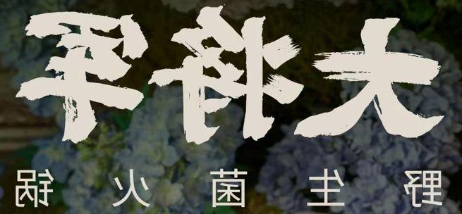 大将军野生菌火锅